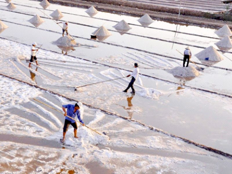 a muối tinh khiết dùng ủ chượp mắm