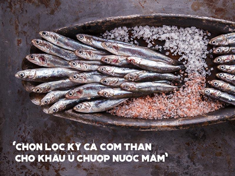 che1bb8dn-le1bb8dc-cc3a1-cc6a1m-than-trc6b0e1bb9bc-khi-lc3a0m-me1baafm Chọn lọc cá cơm than trước khi làm mắm