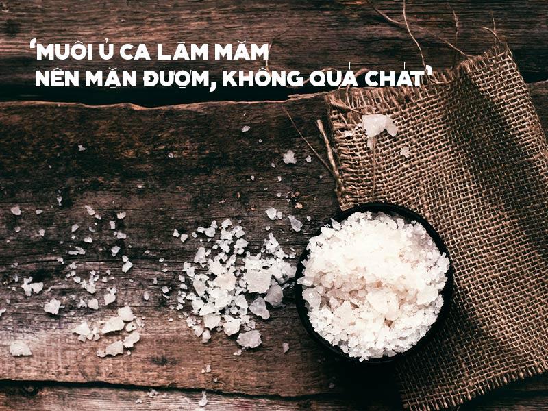 mue1bb91i-tinh-khie1babft-c491e1bb83-e1bba7-cc3a1-cc6a1m Muối dùng để ủ chượp trong quá trình sản xuất nước mắm truyền thống phải lựa hạt muối to, muối nên đều hạt